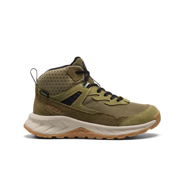Big Kids' Hightrail Waterproof Hiking Boot  |  Dark Olive/Martini Olive