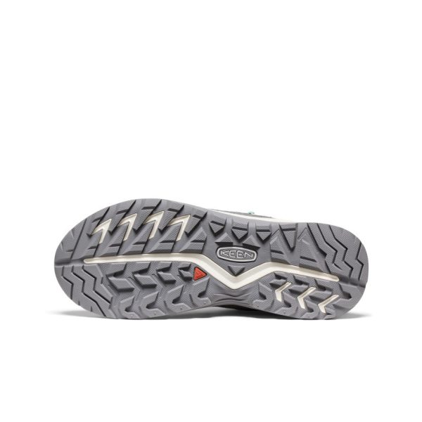 Women's Hightrail Waterproof Hiking Boot | Alloy/Lichen