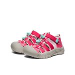 Little Kids' Newport H2  |  Raspberry/Giggle Pink