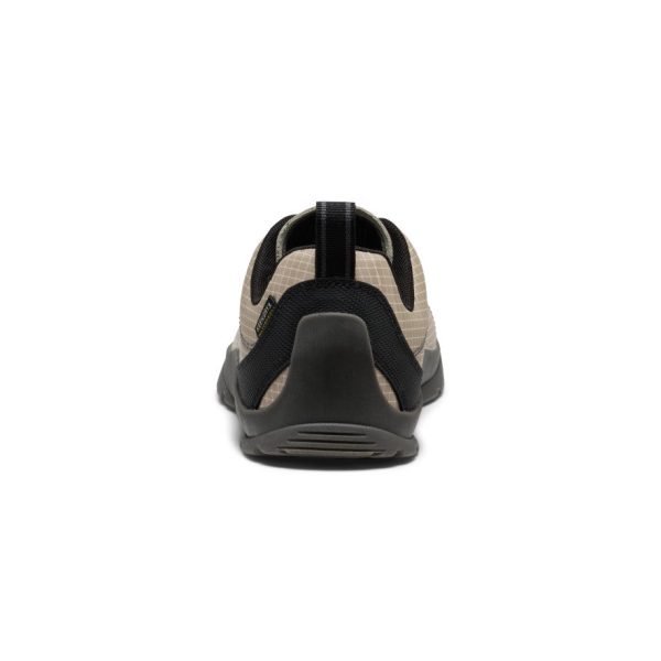 Women's Jasper Nylon Waterproof Sneaker | Abbey Stone/Black
