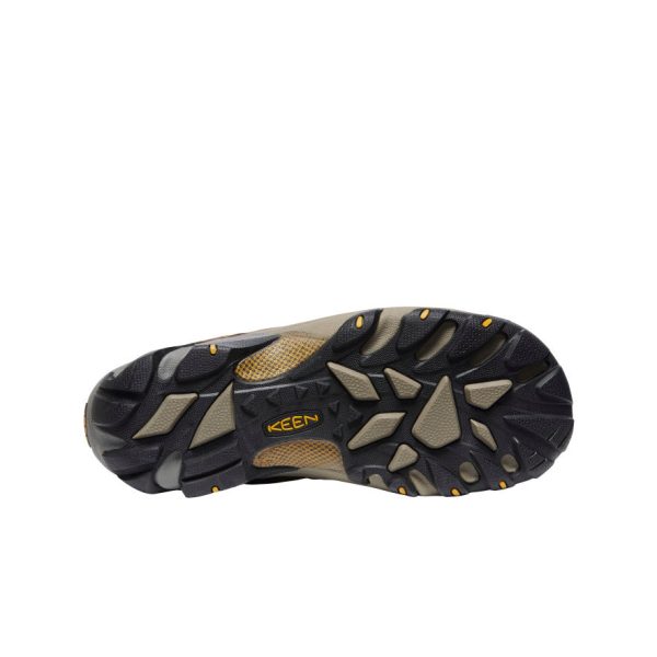 Men's Targhee II Waterproof | Cascade Brown/Golden Yellow