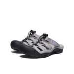 Women's Newport Slide  |  Drizzle/English Lavender