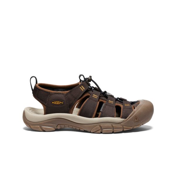 Men's Newport H2 Sandal | Java/Golden Yellow