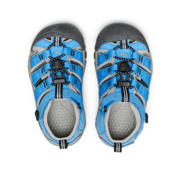 Little Kids' Newport H2 | Azure Blue/Drizzle