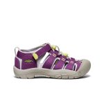 Big Kids' Newport H2 | Charisma/Daiquiri Green
