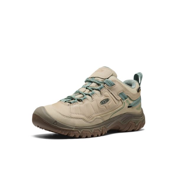Women's Targhee IV Waterproof Hiking Shoe  |  Abbey Stone/Lily Pad