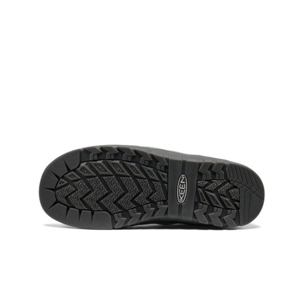 Women's Jasper Rocks Sneaker | Lily Pad/Cameo Rose