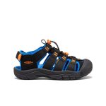 Big Kids' Newport Boundless Sandal | Black/Precious Blue