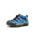 Little Kids' Newport H2 | Azure Blue/Drizzle
