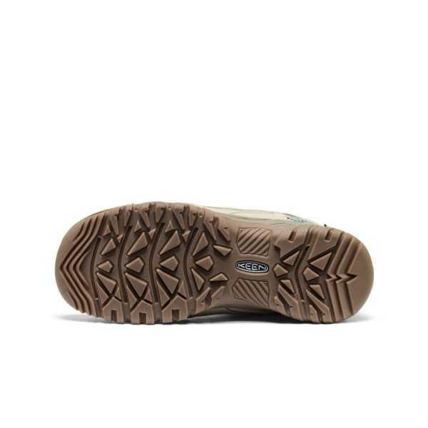 Women's Targhee IV Waterproof Hiking Shoe  |  Abbey Stone/Lily Pad